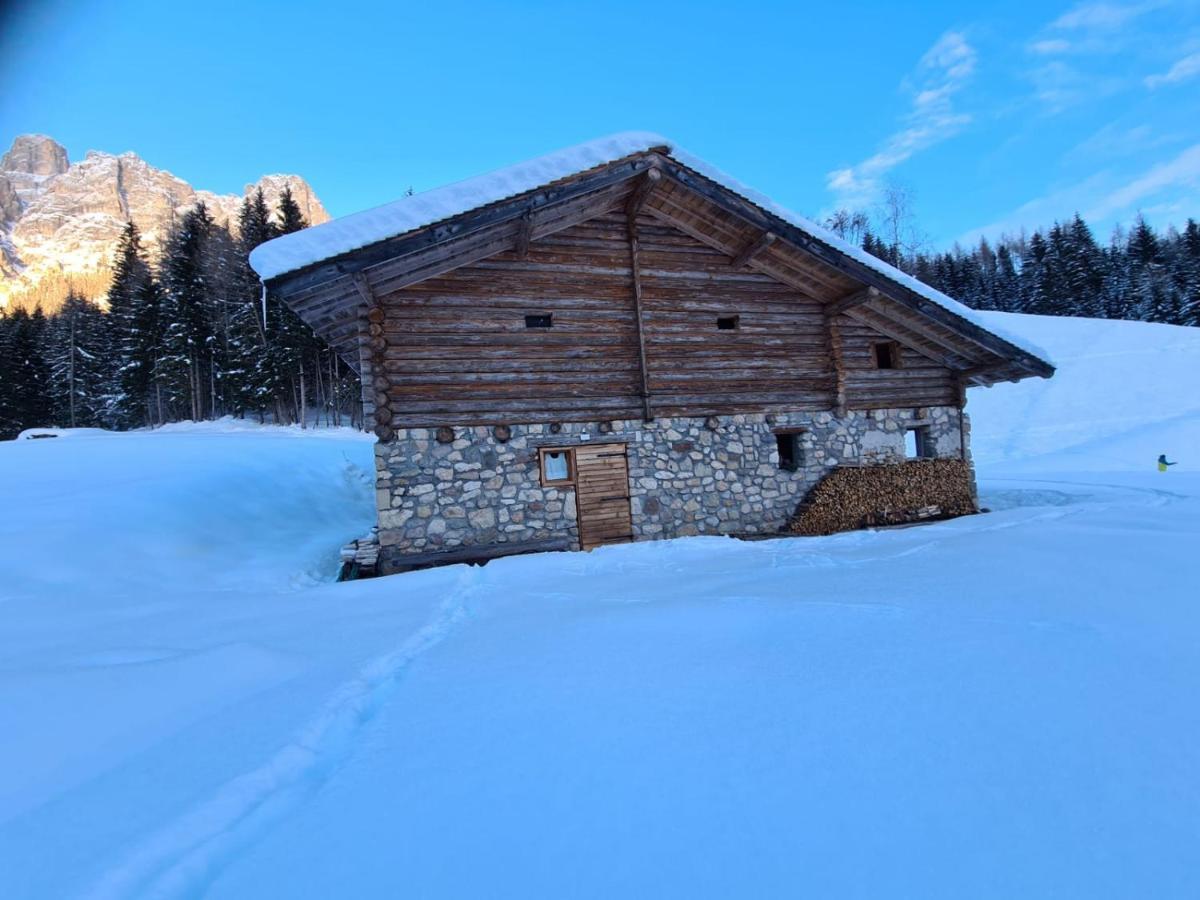 Baita Pra Petina Pale Di San Martino Siror Exterior photo