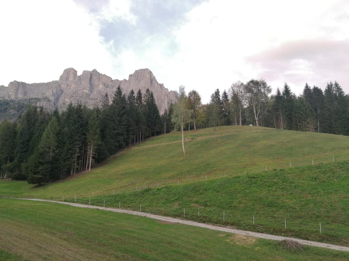 Baita Pra Petina Pale Di San Martino Siror Exterior photo